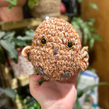 Load image into Gallery viewer, Amber the Owl Stuffie