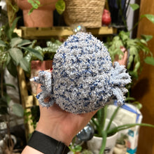 Load image into Gallery viewer, Skylar the Owl Stuffie